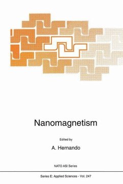 Nanomagnetism - Hernando, A. (Hrsg.)