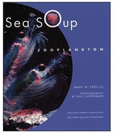 Sea Soup - Cerullo, Mary M