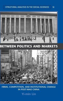 Between Politics and Markets - Lin, Yi-Min