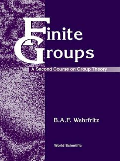 Finite Groups: A Second Course on Group Theory - Wehrfritz, Bert