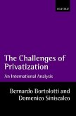 The Problems of Privatization