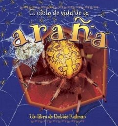 El Ciclo de Vida de la Araña (the Life Cycle of a Spider) - Kalman, Bobbie