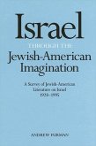 Israel Through the Jewish-American Imagination: A Survey of Jewish-American Literature on Israel, 1928-1995