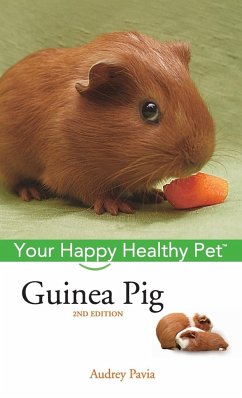 Guinea Pig - Pavia, Audrey