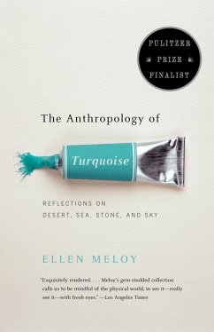 The Anthropology of Turquoise - Meloy, Ellen