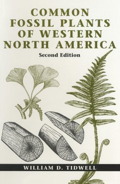 Common Fossil Plants of Western North America, Second Edition - Tidwell, William D