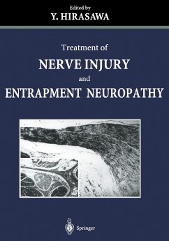 Treatment of Nerve Injury and Entrapment Neuropathy - Hirasawa, Y. (ed.)