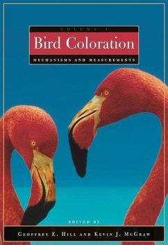 Cover Bird Coloration
