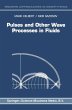 Pulses and Other Wave Processes in... - Bild 1