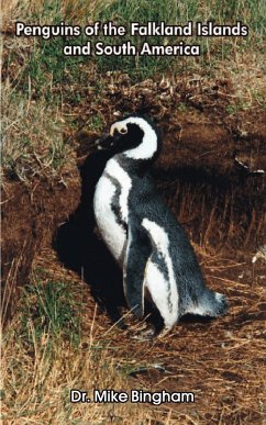 Penguins of the Falkland Islands and South America - Bingham, Mike