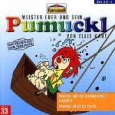 Pumuckl und die geheimnisvolle Schaukel / Pumuckl hütet die Fische, 1 Audio-CD