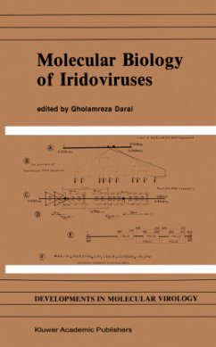 Molecular Biology of Iridoviruses - Darai, Gholamreza (Hrsg.)