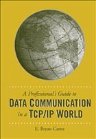 A Professional's Guide to Data Communication in a TCP/IP World - Carne, E Bryan