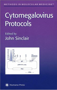 Cytomegalovirus Protocols - Sinclair, John (ed.)