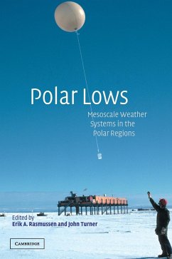 Polar Lows - Rasmussen, Erik A. / Turner, John (eds.)