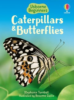 Caterpillars and Butterflies - Turnbull, Stephanie