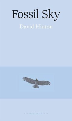 Fossil Sky - Hinton, David