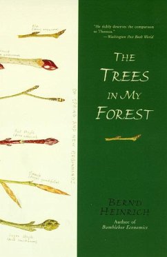 The Trees in My Forest - Heinrich, Bernd