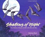 Shadows of the Night PB Shadows of the Night PB
