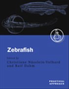 Zebrafish Zebrafish