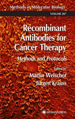 Recombinant Antibodies for Cancer Therapy - Welschof, Martin / Krauss, Jürgen (eds.)