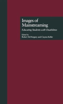 Cover Images of Mainstreaming