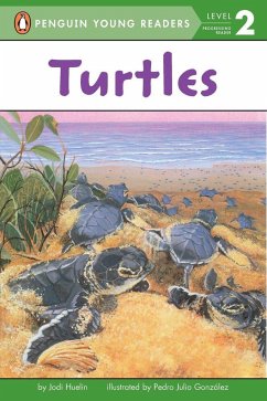 Turtles - Huelin, Jodi