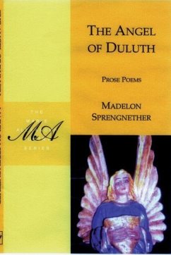 The Angel of Duluth - Sprengnether, Madelon