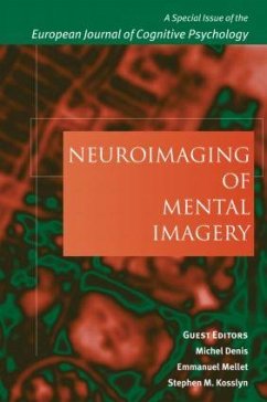 Neuroimaging of Mental Imagery - Michel Denis / Emmanuel Mellet / Stephen M. Kosslyn (eds.)