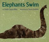 Elephants Swim