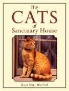 The Cats of Sanctuary House - Winifred, Mary, CHS