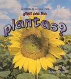 ¿Qué Son Las Plantas? (What Is a Plant?)