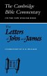 The Letters of John and James - Bild 1