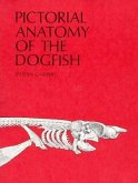 Pictorial Anatomy of the Dogfish