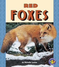 Red Foxes - Levine, Michelle