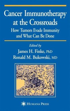 Cancer Immunotherapy at the Crossroads - Finke, James H. / Bukowski, Ronald M. (eds.)