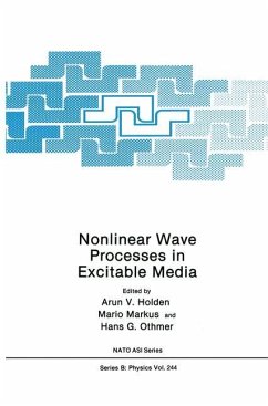 Nonlinear Wave Processes in Excitable Media - Holden, Arunn V. / Markus, Mario / Othmer, Hans G. (Hgg.)