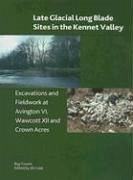 Late Glacial Long Blade Sites in the Kennet Valley: Excavations and Fieldwork at Avington VI, Wawcott XII and Crown Acres - Froom, Roy; Cook, Jill