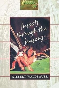 Insects Through the Seasons - Waldbauer, Gilbert