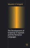 The Development of Grammar in Spanish and the Romance Languages