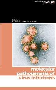 Molecular Pathogenesis of Virus Infections - Digard, P. / Nash, A. A. / Randall, R. E. (eds.)