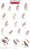 Mac's Field Guides: North American Birds of Prey
