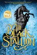 The Black Stallion - Bild 1