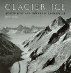 Glacier Ice