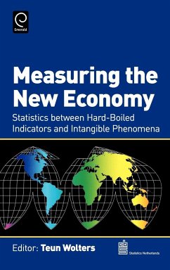 Measuring the New Economy - Wolters, Teun (ed.)