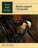 Wild Bird Guide: Black-Capped Chickadee