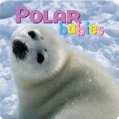 Polar Babies - Mccurry, Kristen