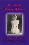 A Little Street Music: A Novella and Stories - Stern, Daniel