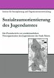 Sozialraumorientierung des Jugendamtes - Bild 1