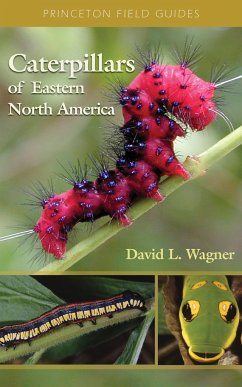 Caterpillars of Eastern North America - Wagner, David